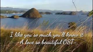 Lirik lagu l like you so much, you'll know it ( A love so beautiful )