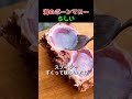 ほとんど食べたことのないマグロ