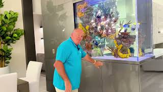 400 Gallon Artificial Reef Peninsula Aquarium - Luxury Private Residence Florida