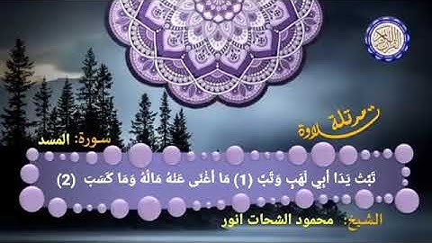 سورة المسد محمود الشحات انور
