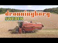 Combine harvester Dronningborg - Tröska - DJI - Agriculture Sweden