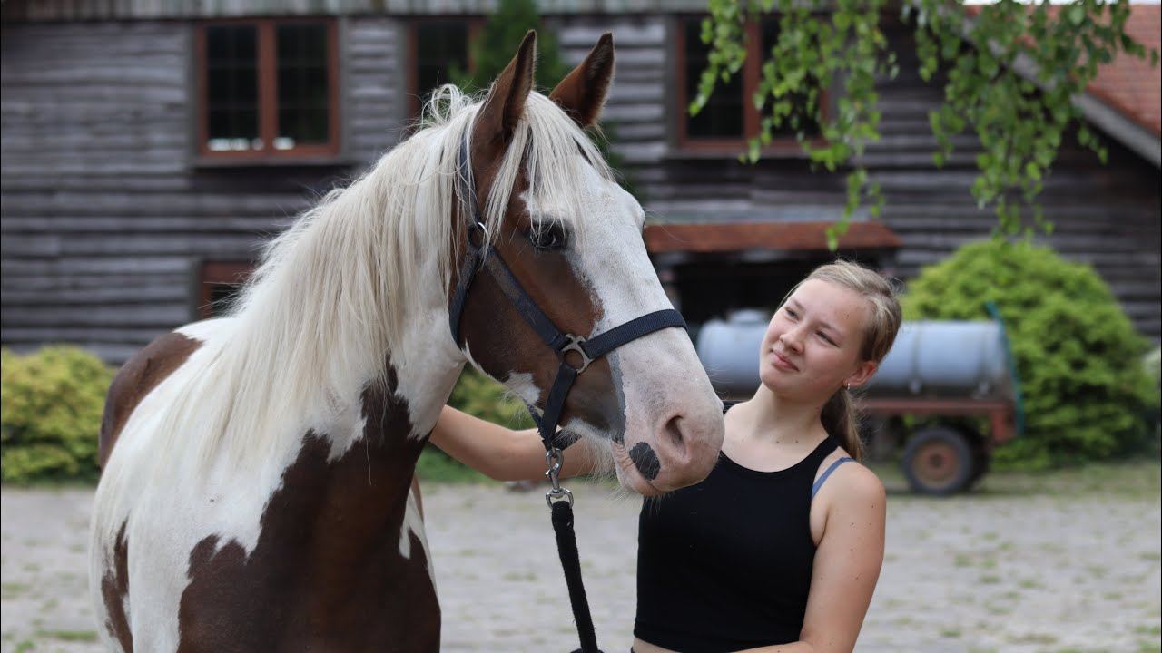 Rc het Fjordenpaard Week 2 2025