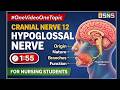 Cranial Nerve 12 (Hypoglossal Nerve) Explained | One Video One Topic | Anatomy for Nurses #osns