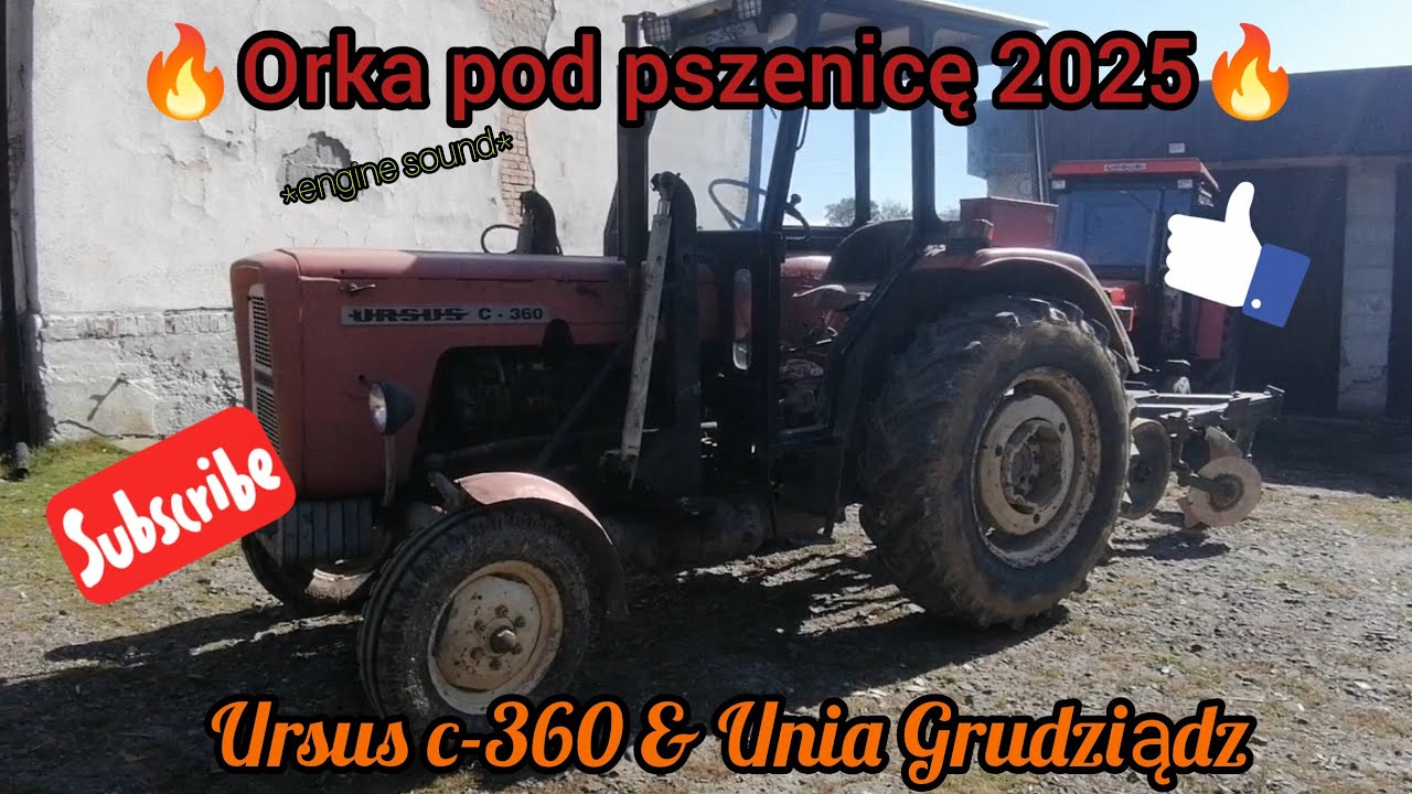 🔥Orka pod pszenicę 2025🔥Ursus c-360 & Unia grudziądz🔥*engine sound*🔥