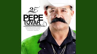 Video thumbnail of "Pepe Tovar - Sentimiento de Dolor"