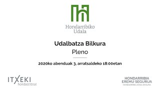 Udalbatza Bilkura / Pleno - 2020ko abenduak 3, 18:00etan