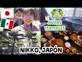 PORFIN TUVIMOS NUESTRA LUNA DE MIEL 👩❤️👨🍯 Viaje a Nikko Japón #1 // Juli & Takashi