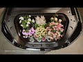 All-new ONVO L80 - official video