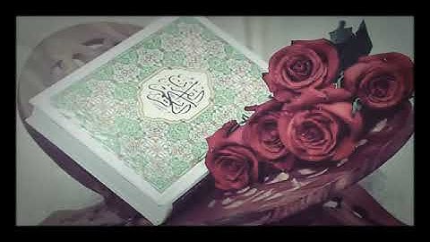 ١٠ دقائق بصوت الشيخ هزاع البلوشي القرآن الكريم ♥️