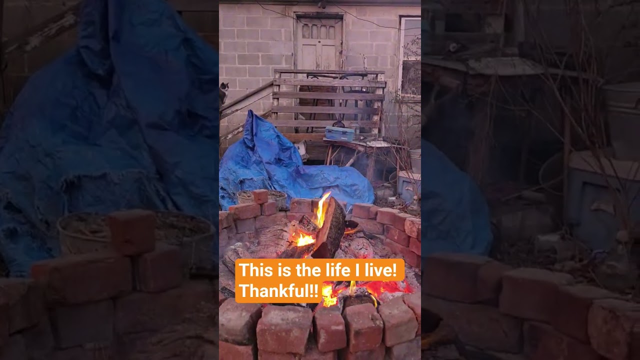 Вот это жизнь!!! Благодарна!!! 