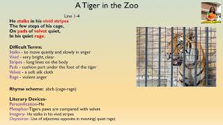 Poem A Tiger In The Zoo, CBSE, Class 10, Hindi Explaination.