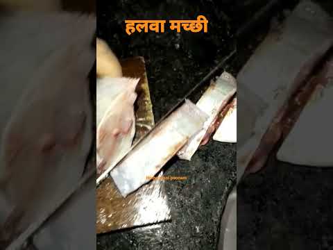 Halva Machi Reels Instagram Koli 