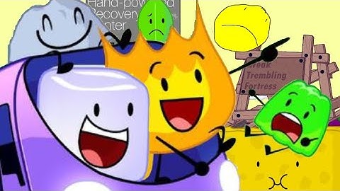 BFDIA 13 But Only When W.T.F. Contestant Is On Screen (+ Leafy)