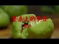 《餐桌上的节日》青团 | CCTV纪录