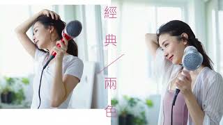 TESCOM 高效速乾負離子吹風機(TID1100TW)