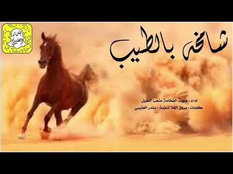 شامخه بالطيب اداء صوت الفخامة متعب الخيل 2023 حصريا