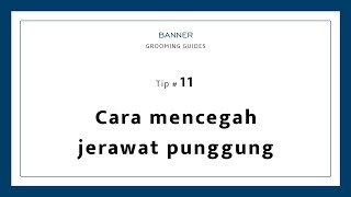 Cara mencegah jerawat punggung | Banner Grooming Guides