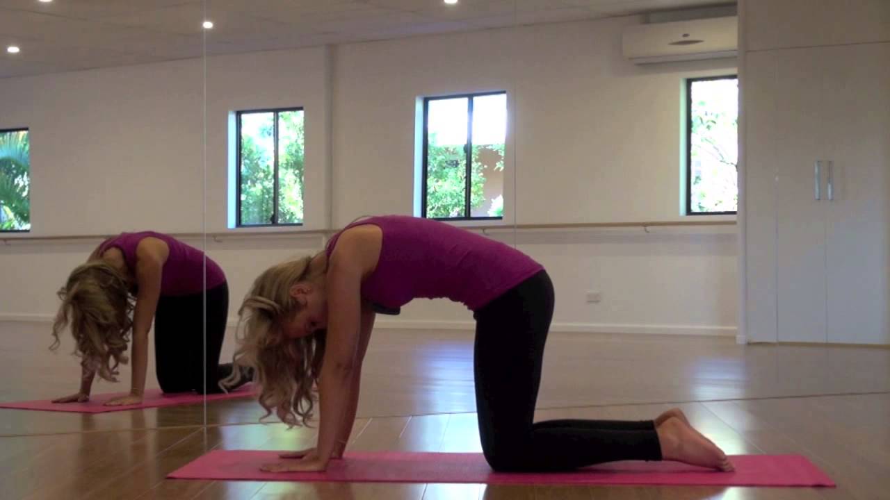 Pilates For Back Pain! YouTube