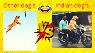 other country's dog  🆚  indian dog's😎❤️  🤣other dog's vs indian dog's ||