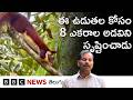' మొదటిసారి మా నాన్న ఆ ఉడుతను చూసి ఆశ్చర్యపోయారు.. Shekru ల సంరక్షణ కోసం 8 ఎకరాల భూమిని కేటాయించేశా'