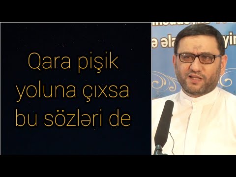 Qara pişik yoluna çıxsa bu sözləri de - Hacı Şahin