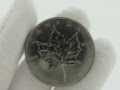 Palladium maple leaf 1 troy ounce 9995 puur palladium munt  goudpensioen