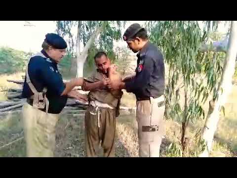 karakol festival Smuggle Arresred Kohat Police