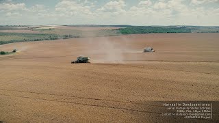 Cereal harvesting in Donduseni Area