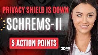 Privacy Shield Is Down : What Schrems II Means for Your Business