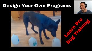 Interval Schedules of Reinforcement for Pro Dog Trainers (K9-1.com) by Dog Training by K9-1.com 2,251 views 2 years ago 1 hour, 7 minutes