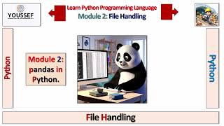 Video 12 (Module 2): File Handling in Python.