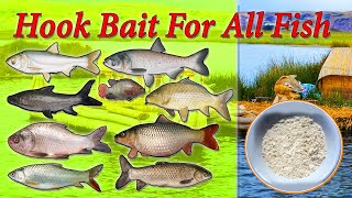 Hook Bait For all Fish 100% Result Insha Allah
