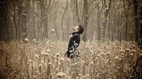 Thumbnail of Remember By Harry Nilsson   YouTube