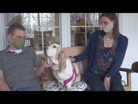 Video: Watson Hunden visar oklanderlig tro genom att inte tveka med förtroendefallen