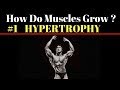 How Do Muscles Grow ? #1 HYPERTROPHY