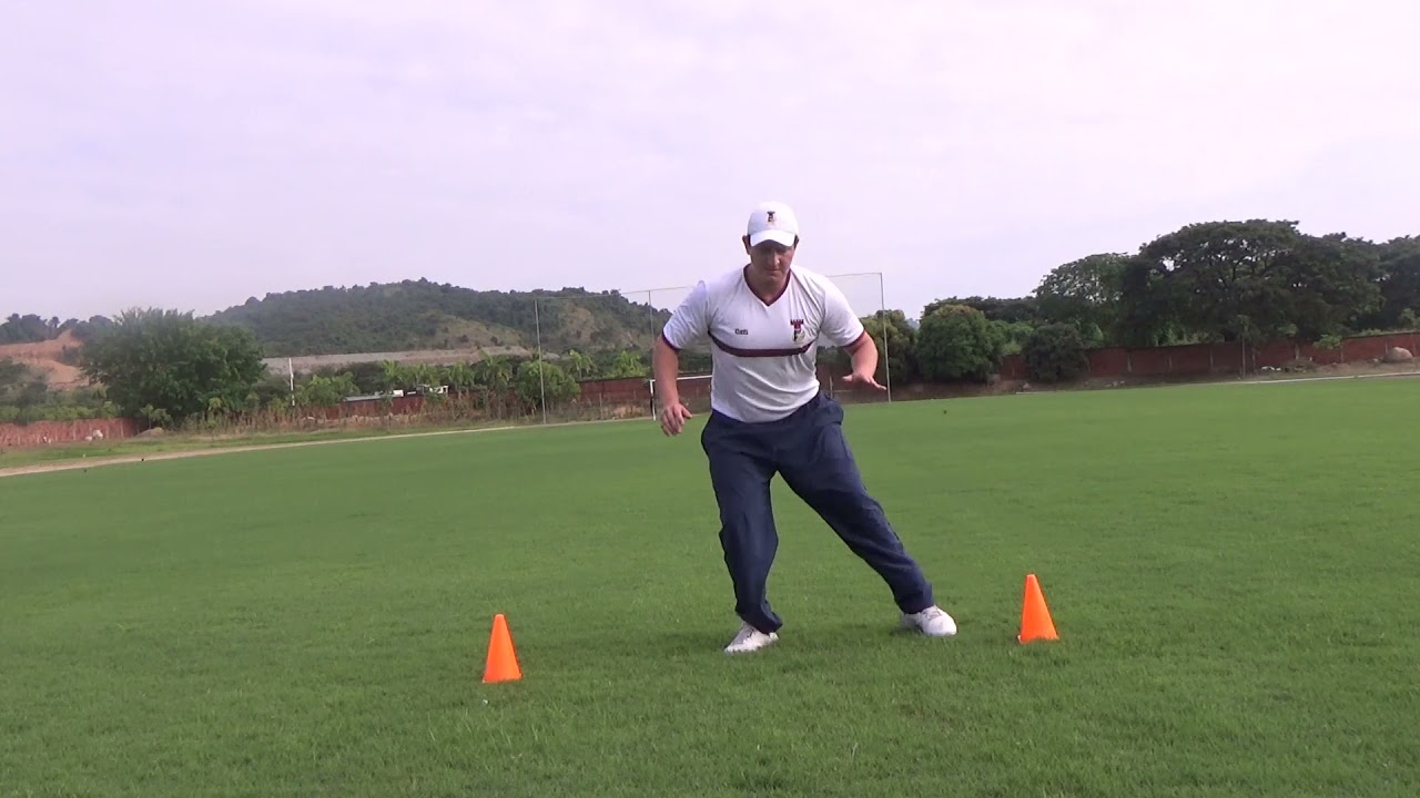 Ejercicio 5 Steven Torres