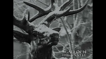 Agalloch - In The Shadow Of Our Pale Companion