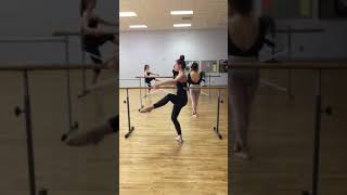 IMG 4487