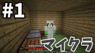 【マインクラフト】なしなし、マインクラフト実況始めます。【minecraft】