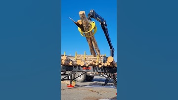 Best buddies Palms & Palax #firewoodprocessor #logging