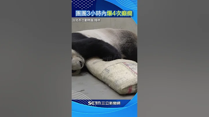 團團3小時內突爆4次癲癇  動物園坦言：不定時炸彈難預防｜三立新聞網 SETN.com #shorts - 天天要聞