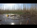 A szőke tó - A Tisza-tó hat évszaka - első rész