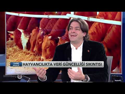 Tarım Analiz - Türkiye'de Et ve Süt Dengesi | 12.12.2018