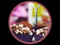 Receita de brigadeiro para vender