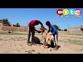 هبهب هوى العذيبي من الأغاني الجميلة النجم عدنان الجبوري خضرالعبدالله قديمك نديمك