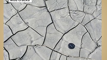 Sedimentary Rocks: Sedimentary Structures