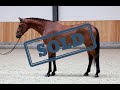 (SOLD) Conti Blue schooling