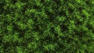 Shell Texturing Geometry Shader Profile