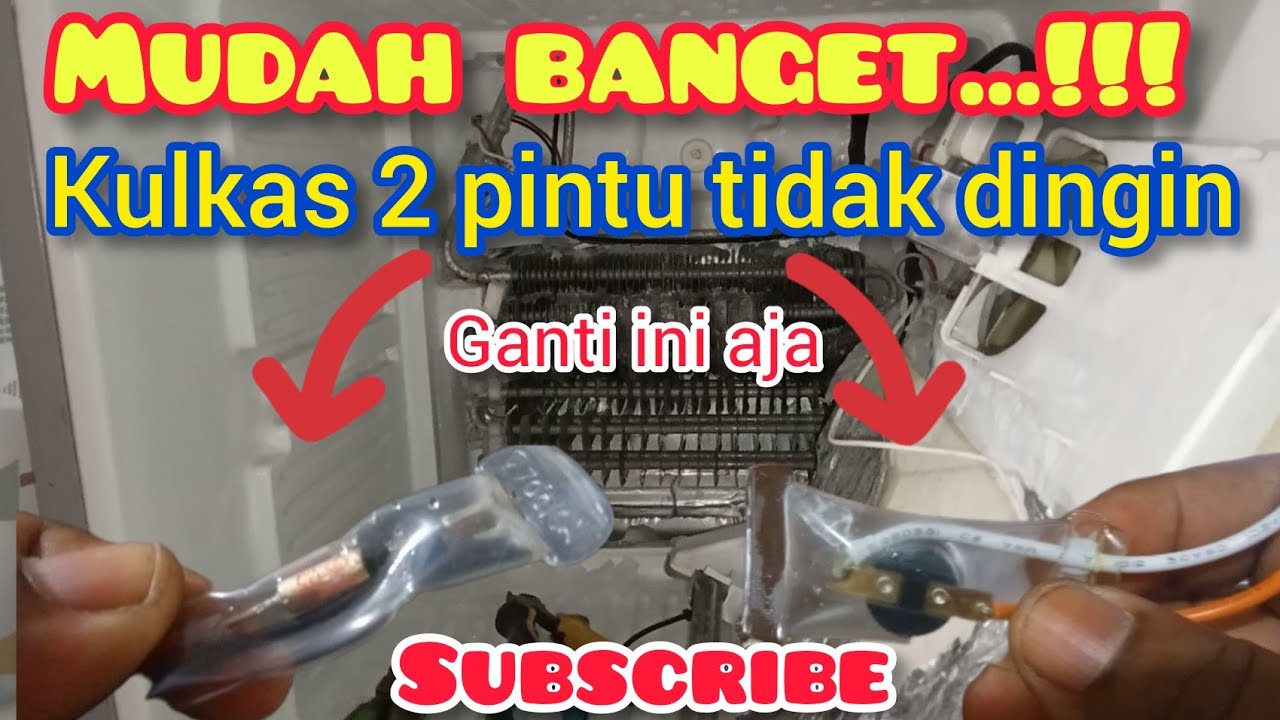 cara memperbaiki kulkas 2 pintu dibawah tidak dingin.