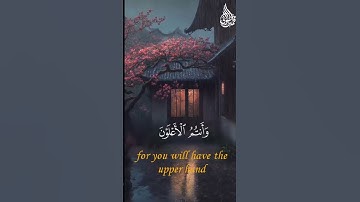 أطيعوا الله وأطيعوا الرسول #تلاوات #قرآن